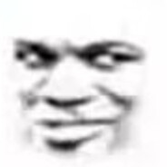 想阿猪的每一天