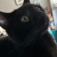 Hungryboi4