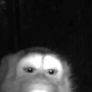 Reivil avatar