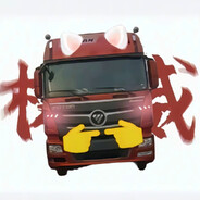 AAA老刘全险百吨王