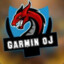 [Pro9G]Garmin oJ