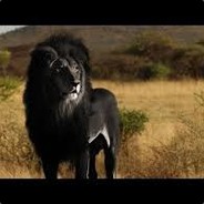 Blacklion