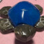 Blue Turtle