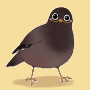 多赛季青铜误入17赛季大师局的宫百万