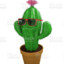 TheTrendyCactus