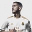 EDENHAZARD10