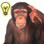 cherrychimp