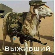 коза снайпер