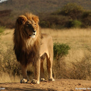 lllllllllllllllllllllll大表哥