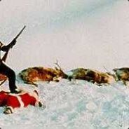 [TG]ice
