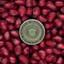 flare's avatar