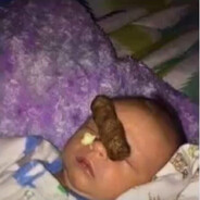 Свингерпися