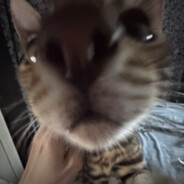 A good ruzzian is a dead ruzzian