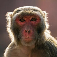 вася пупкин