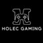 Holec Gaming222