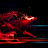 VasilicaBisnitariesijmecheriesrl