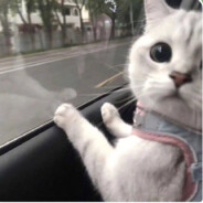 又被自己帅醒了