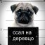 ПсиН@