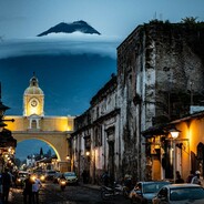 Девять птиц