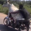 PakistanosPaketas