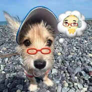 今天上午