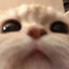 Athan