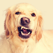 ★FR SlayDo - steam id 76561198232850308