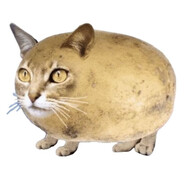 0_0