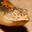 Snek