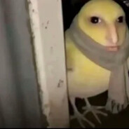 sauseross