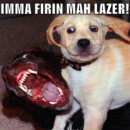 DOG LAZER