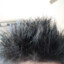 tanxin