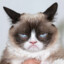Moppiih