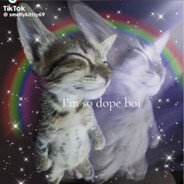 spacecat37