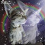 spacecat37