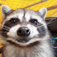 bekannter Steuernhinterzieher