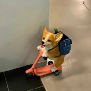 别打了我是酱油