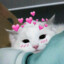 cutie☂