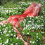 lifelover
