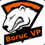 Boruc_VP