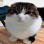 Gruby