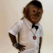 stun - steam id 76561199132354212