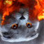 Miss Pyromaniac Meow