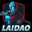 Laidao EasySkins.com