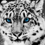 РУССКИЙBARS142 YouTube