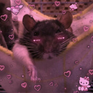 ratpjs