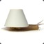 Lamp Snail