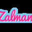 Mr_Zalman