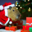 [RTX]Capybara
