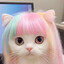 大定o
